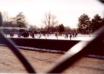 Kate Wollman photo