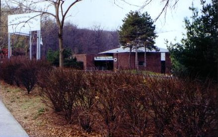 War Memorial Rink